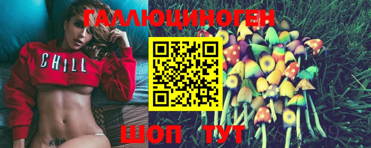 Псилоцибиновые грибы Psilocybe Гурьевск